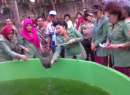 Ani Yudhoyono Bantu Lansia Kembangkan Rumah Pangan Lestari